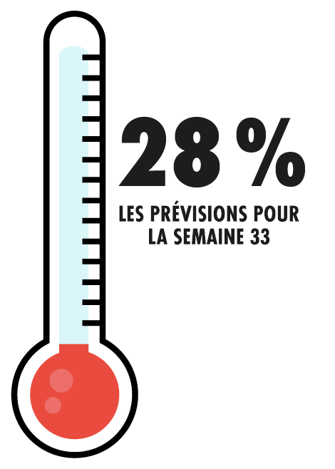 Animation du thermomètre